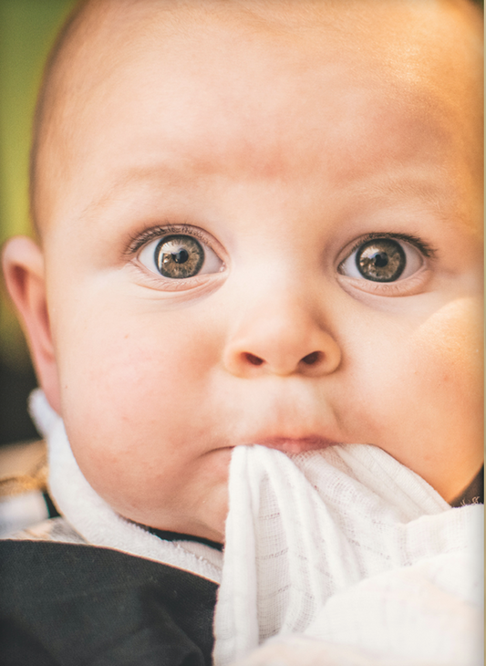 TELA STAMPATA CON FOTO